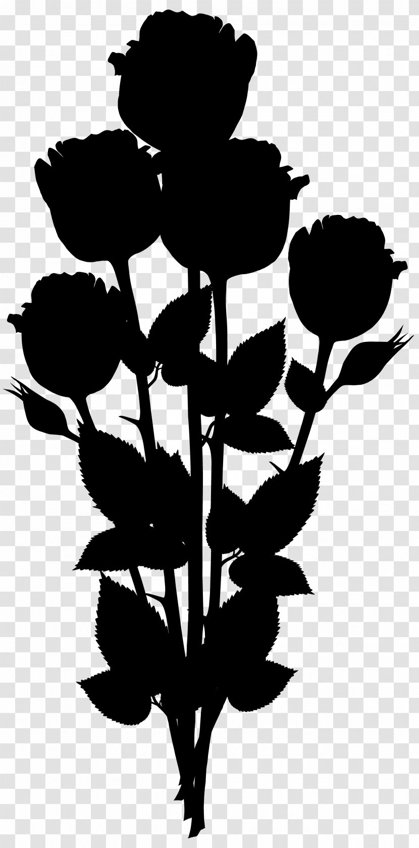 Rose Family Leaf Floral Design - Flower - Pedicel Transparent PNG