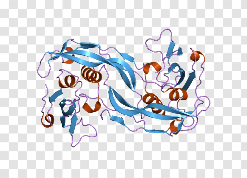 Bone Morphogenetic Protein 2 BMPR1A Receptor - Silhouette - Cartoon Transparent PNG