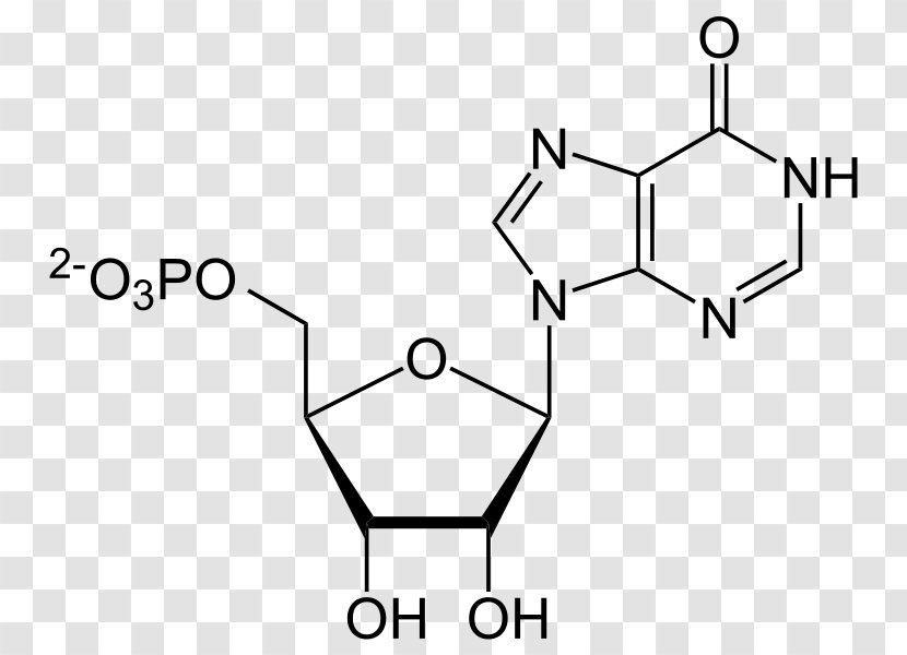 Adenosine Triphosphate Monophosphate Adenine Inosinic Acid - Heart - 777 Transparent PNG