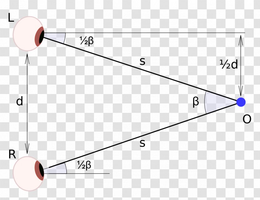 Angle Binocular Disparity Vision Visual Perception Eye Retina