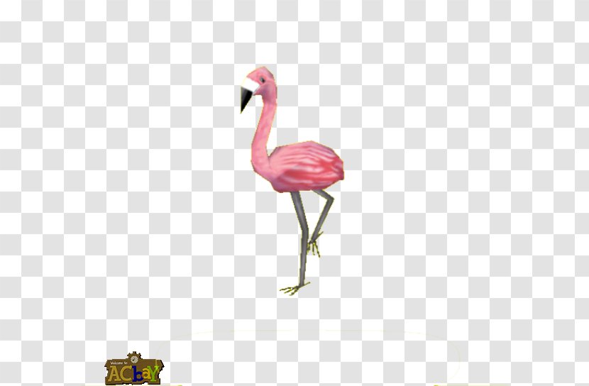 Crane Bird Pink M Beak Neck Transparent PNG