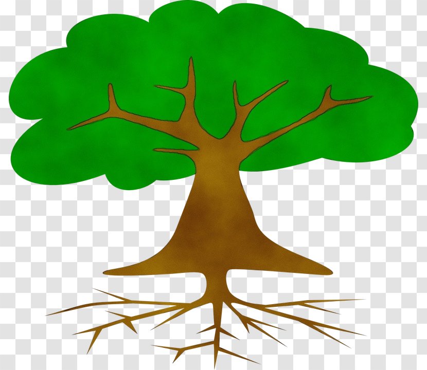 Tree Trunk Drawing - Houseplant Flower Transparent PNG