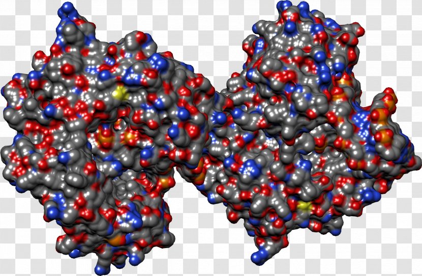 Cobalt Blue Bead - Molecular Structure Of Nucleic Acids A F Transparent PNG