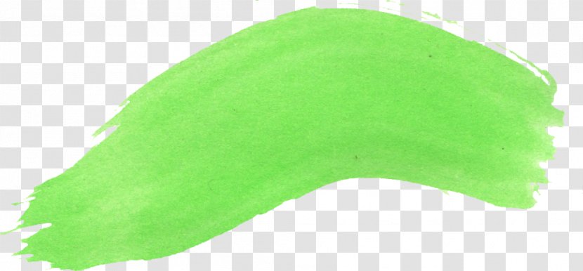 Green Leaf Transparent PNG