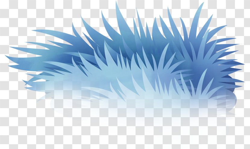 Blue Drawing Sky Clip Art - Color - Aqua Grass Transparent PNG