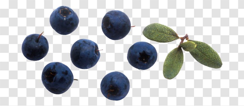 Bilberry European Blueberry - No - Photos Transparent PNG