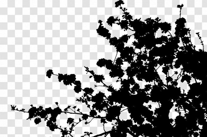 Font Line Silhouette Leaf Flowering Plant - Monochrome Transparent PNG