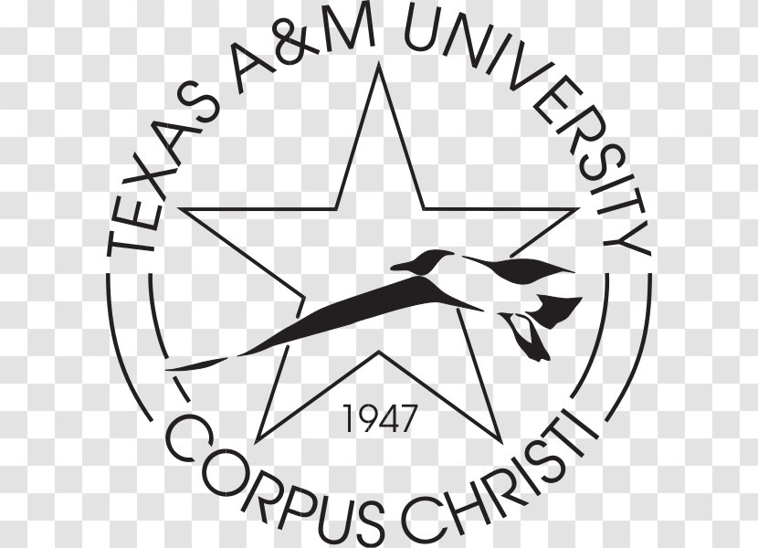 Texas A&M University Of At Austin Arlington Student Transparent PNG