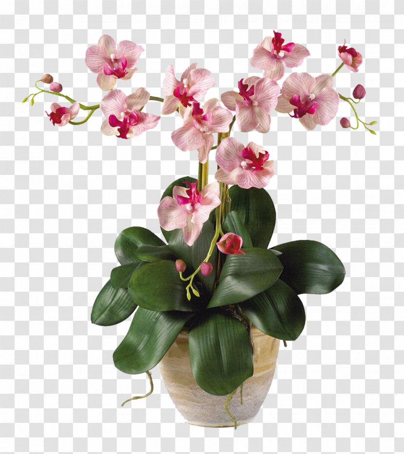 Moth Orchids Artificial Flower Plant Stem - Pot Transparent PNG