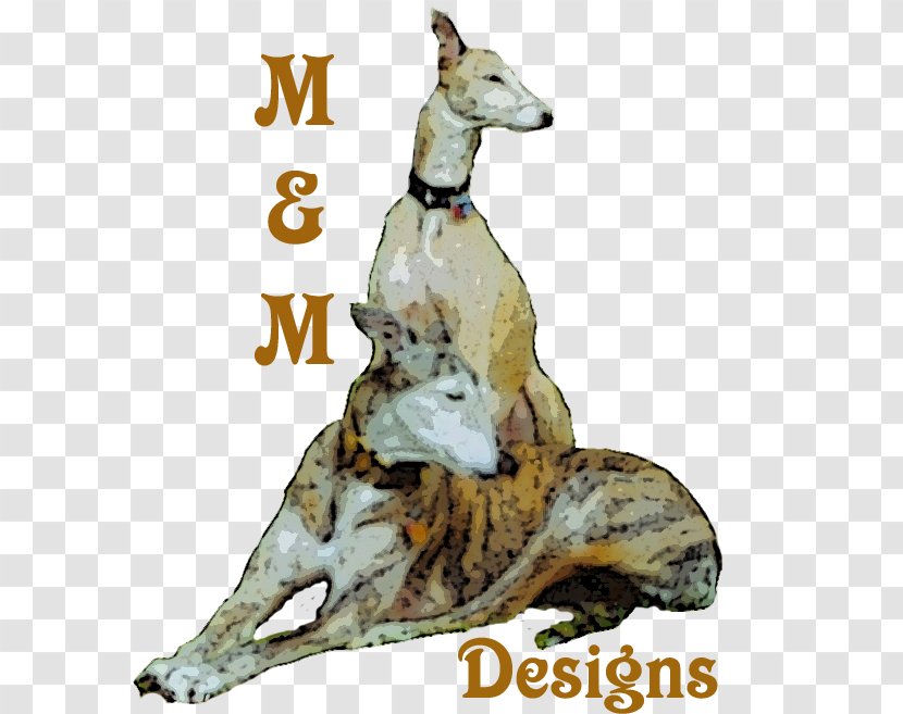 Whippet Italian Greyhound Spanish Sloughi - Mammal - Sailor Wheel Transparent PNG