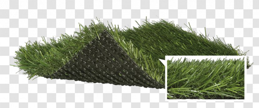 National City Artificial Turf Fast Grass Lawn Sporturf International (Synthetic Turf) - Metro Synthetic Perth Transparent PNG