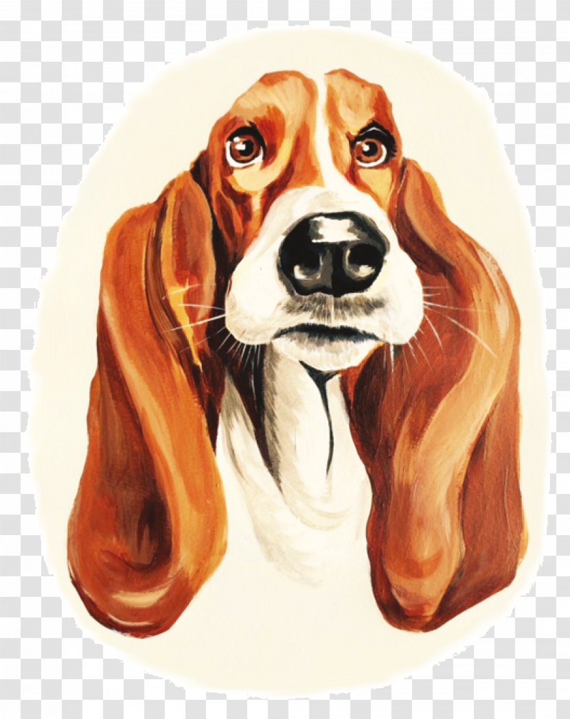 Beagle Harrier English Foxhound Finnish Hound Dog Breed - Carnivoran - Show Transparent PNG