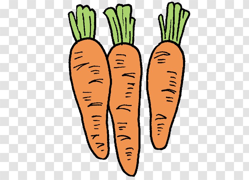 Carrot Illustration Clip Art Vegetable Text - Finger Transparent PNG
