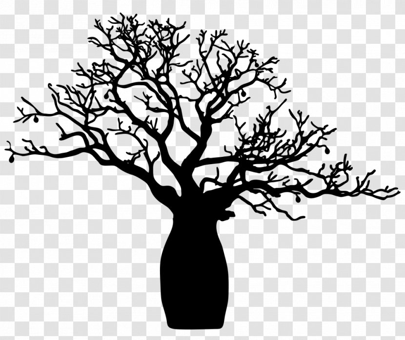 Adansonia Gregorii Tree Drawing Crochet - Plant Stem - Bushes Transparent PNG