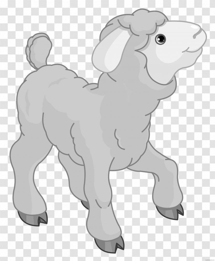 Sheep Clip Art Image Illustration Puppy - Goats Transparent PNG