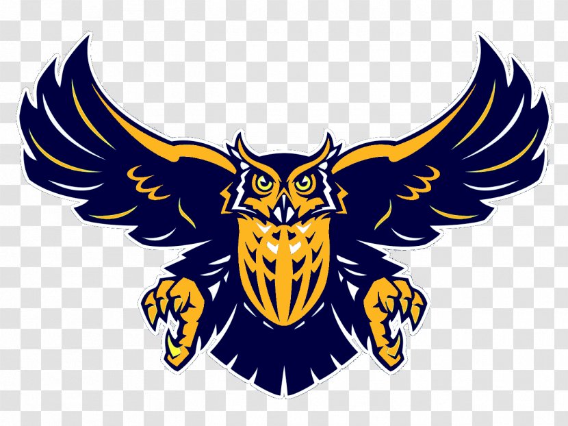 Dundalk High School National Secondary Sparrows Point, Maryland Harmony Area District - Dual Enrollment - Owl Transparent PNG