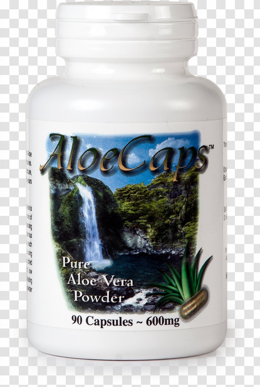 Aloe Vera Pharmaceutical Drug Health Food Bottle - Cork - Water Transparent PNG