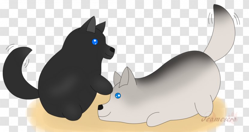 Whiskers Kitten Cat Dog - Like Mammal Transparent PNG