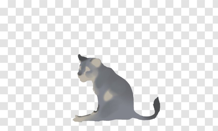 Whiskers Korat Domestic Short-haired Cat Paw Tail - Shorthaired - Maltes Transparent PNG