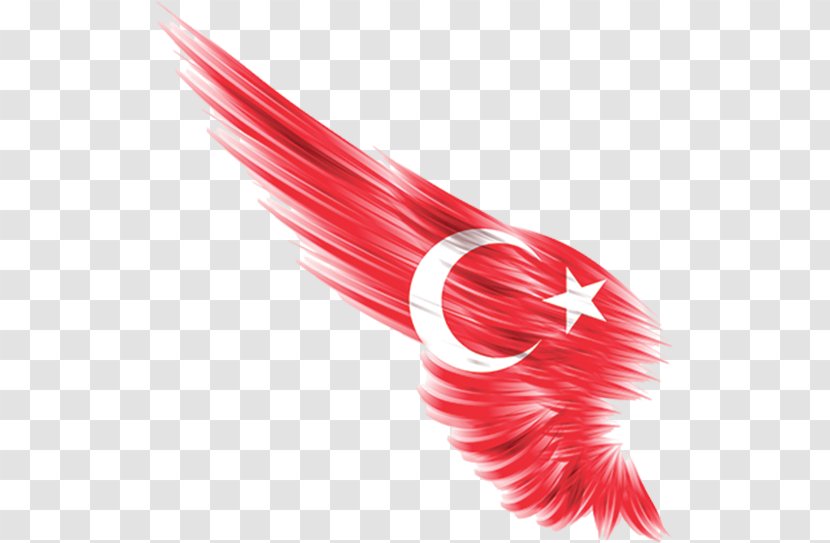 Flag Of Turkey Jordan Cyprus Kuwait - Flags The Ottoman Empire - Demo Transparent PNG