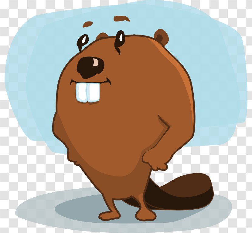 Beaver Cartoon Character Clip Art - Carnivoran Transparent PNG