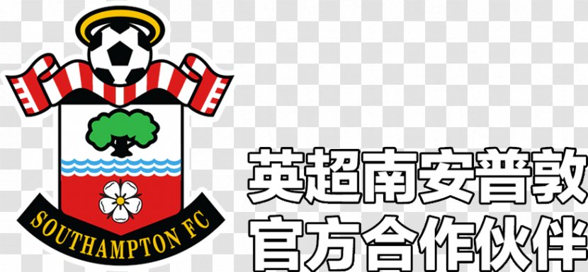 Southampton F.C. Newcastle United St Mary's Stadium Manchester City - Swansea Afc - Chinese Dragon Boat Transparent PNG