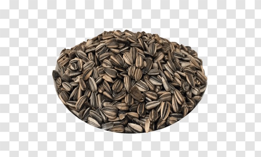 Nut Commodity Seed - Sementes Transparent PNG