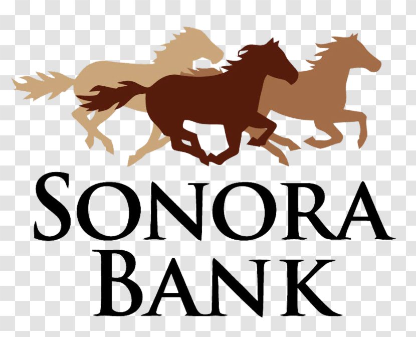 The First National Bank Of Sonora Loan Officer - Mustang Horse Transparent PNG