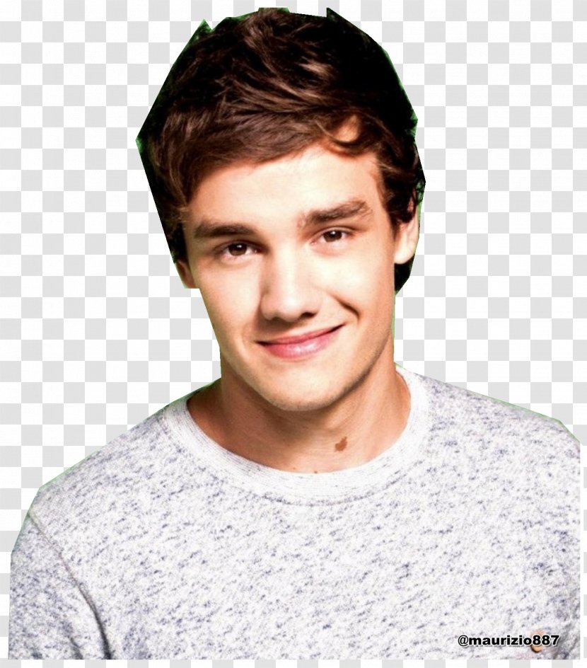 Liam Payne Wolverhampton The X Factor One Direction Up All Night - Flower - Hayden Panettiere Transparent PNG