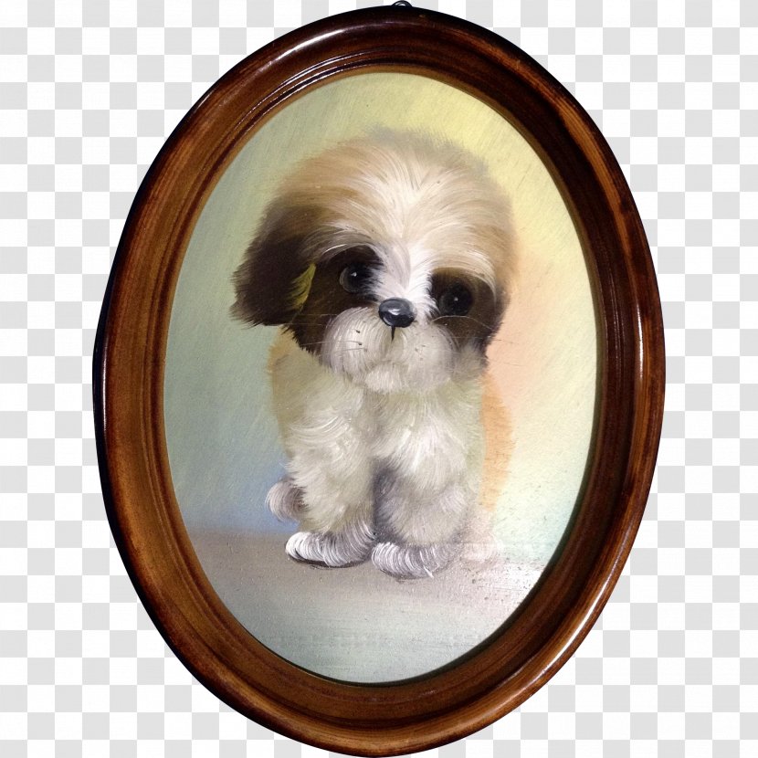 Shih Tzu Chinese Imperial Dog Puppy Breed Toy Transparent PNG