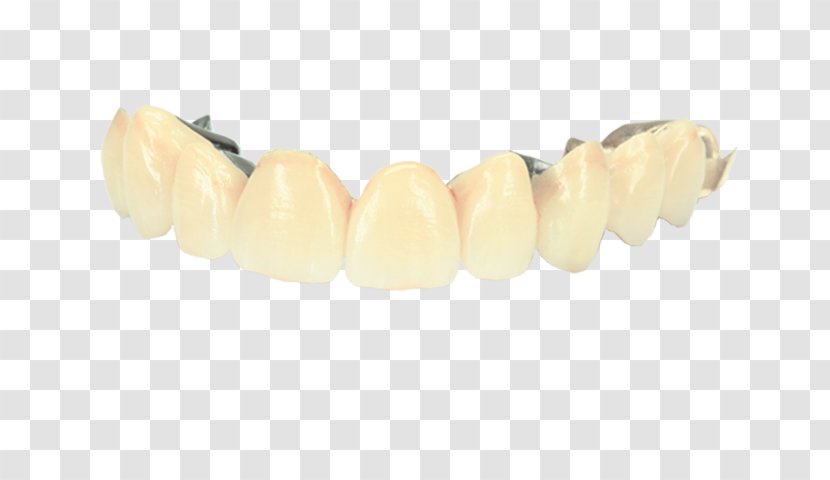 Bracelet - Tooth - Dental Technician Transparent PNG