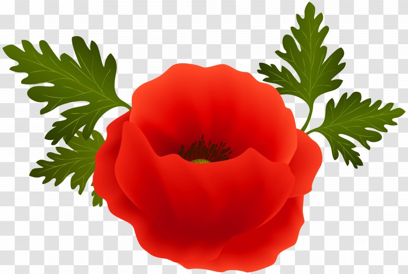 Poppy Clip Art - Coquelicot - Image Transparent PNG