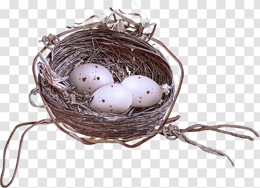 Egg - Bird Nest Transparent PNG