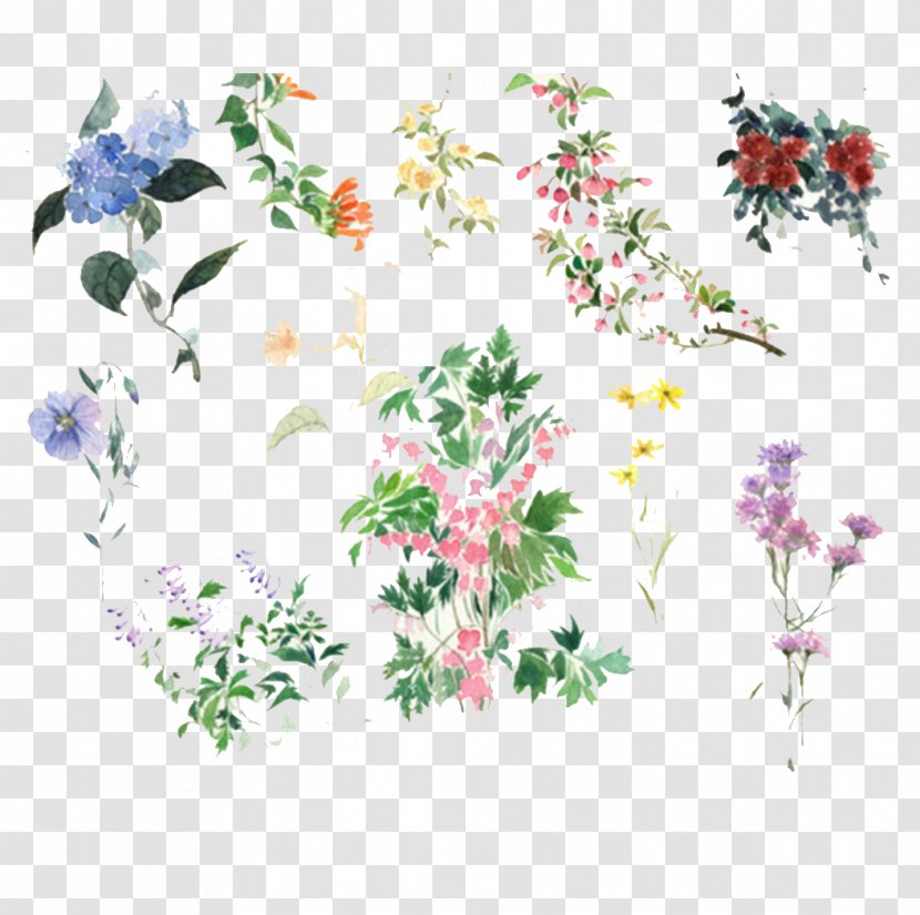 Flower Icon - Arranging - South Korean Small Fresh Hand-painted Flowers Transparent PNG