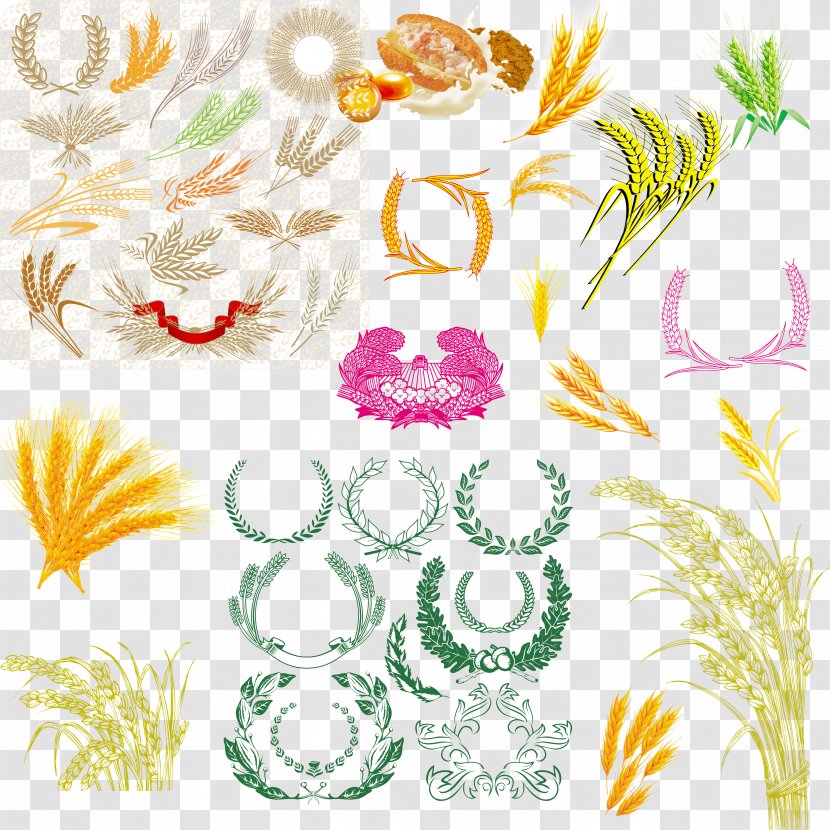 Graphic Design Download Pattern - Cut Flowers - Wheat Transparent PNG