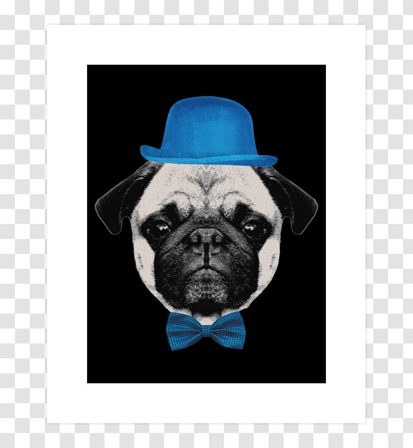 Pug Puppy Dog Breed French Bulldog Transparent PNG
