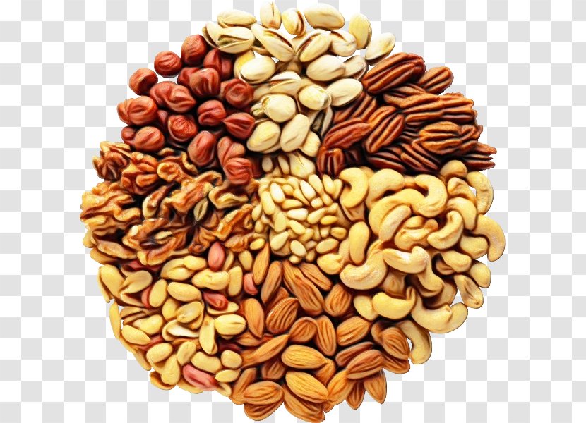 Food Nut Ingredient Nuts & Seeds Plant - Mixed Seed Transparent PNG