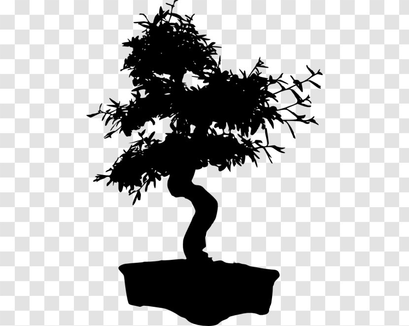 Bonsai Chinese Sweet Plum Flowerpot Tree - Black And White Transparent PNG