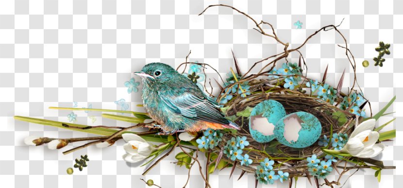 Easter Bird Nest Holiday Clip Art Transparent PNG