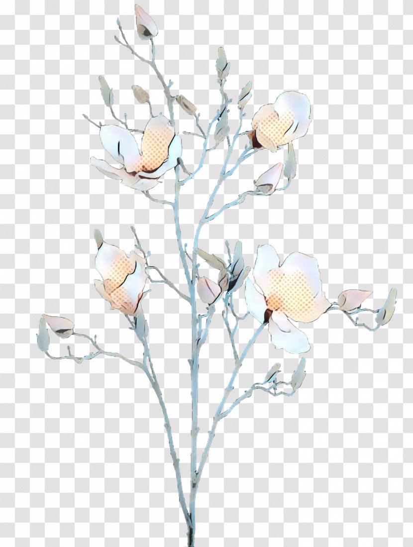 Flowers Background - Plant Stem - Petal Tulip Transparent PNG