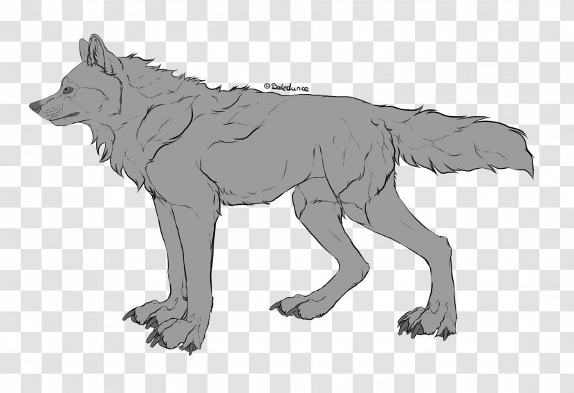 Coyote Dog DeviantArt Canidae - Like Mammal Transparent PNG