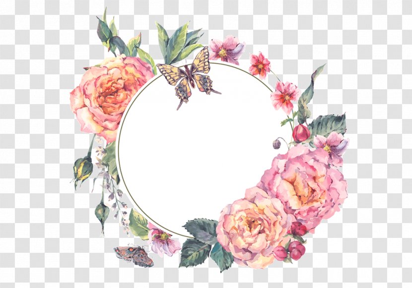Garland Floral Design Vector Graphics Flower Illustration - Rose - Vines Transparent PNG
