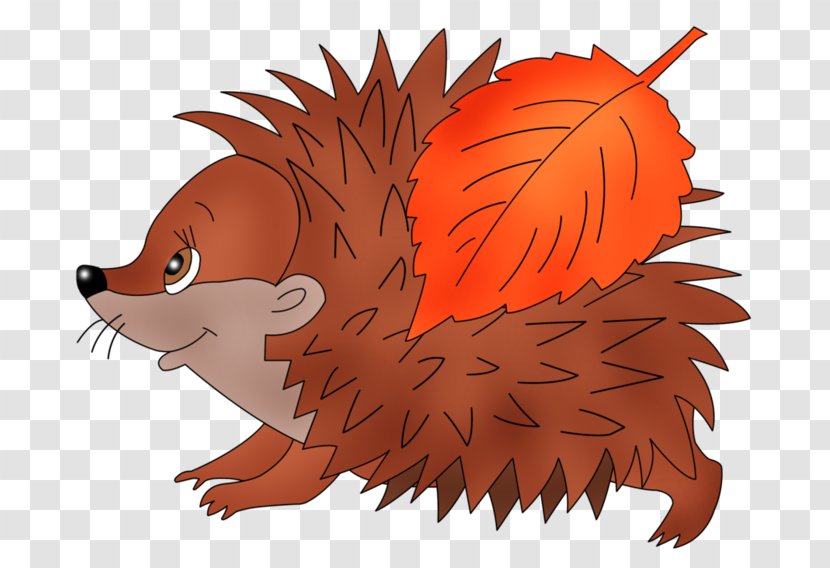 Whiskers European Hedgehog Domesticated - Drawing Transparent PNG