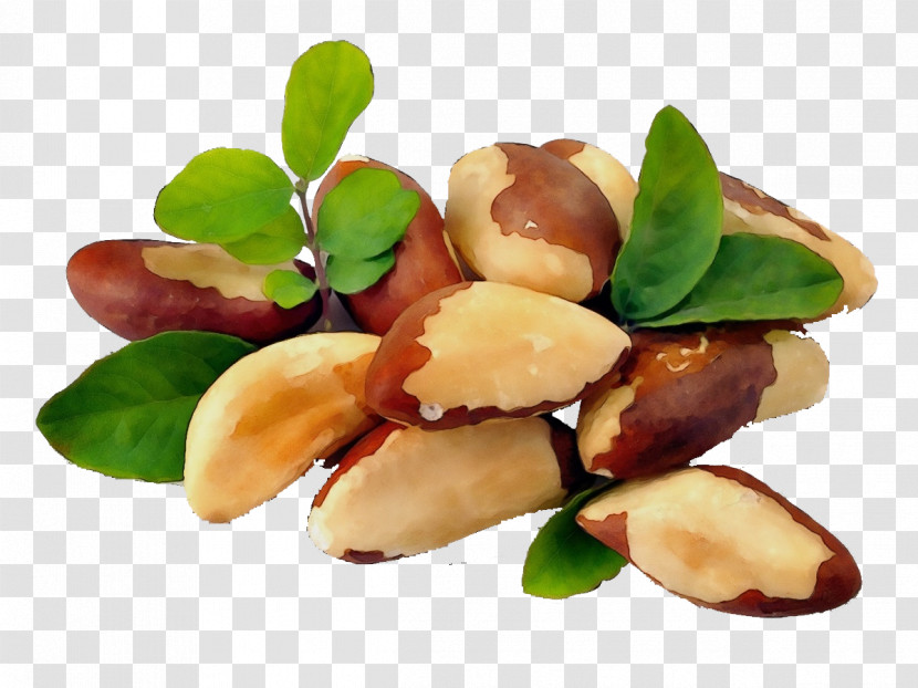 Commodity Superfood Ingredient Transparent PNG