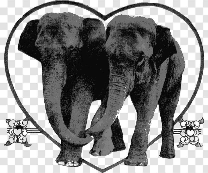 African Elephant The Elephants Clip Art - Fauna Transparent PNG