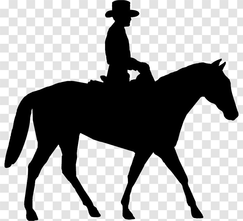 Horse Equestrian Bucking English Riding Clip Art - Western Pleasure Transparent PNG