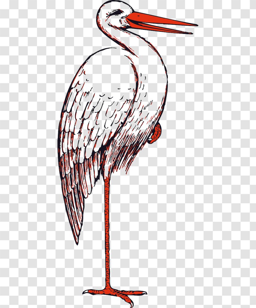 White Stork Marabou Clip Art Bird Openclipart - Ciconia Transparent PNG