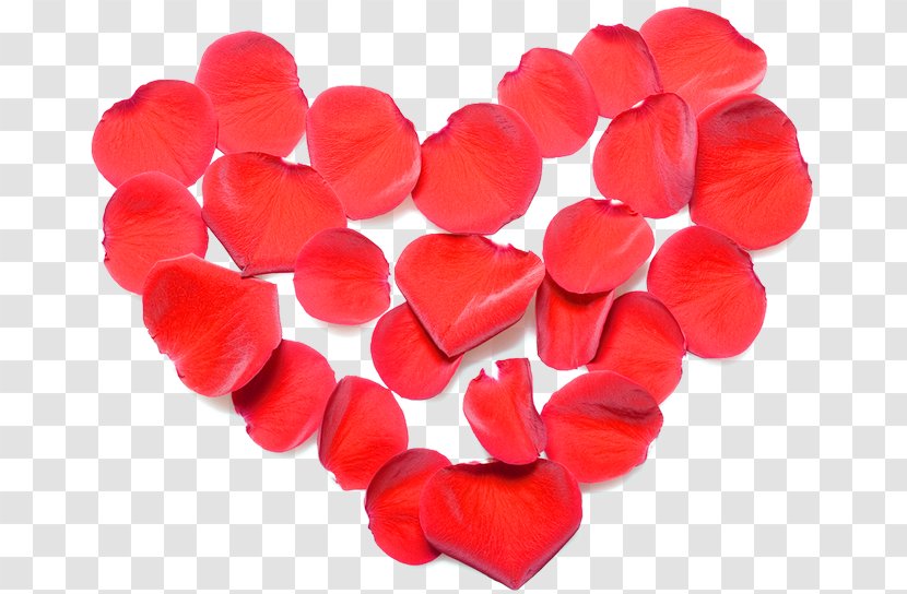 Valentine's Day Love Heart Red Clip Art - Stock Photography Transparent PNG