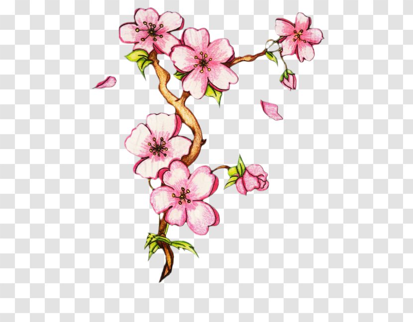 Flower Drawings Floral Design Watercolor Painting - Branch - Petal Transparent PNG