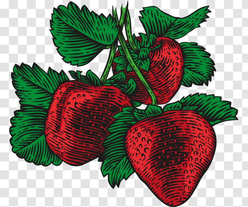 Strawberry Vector Graphics Stock Photography Illustration Drawing - Berry Transparent PNG